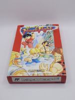 Mighty Final Fight ⭐️Selten⭐️ Famicom Top NES OVP Japan