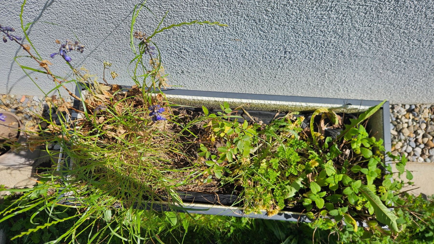 Vasi per fiori: Hochbeet Metall – Usato da Bassersdorf venduto da Sunseekker1 4