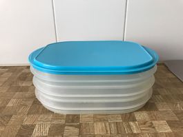 Tupperware Behälter.      4 Teile