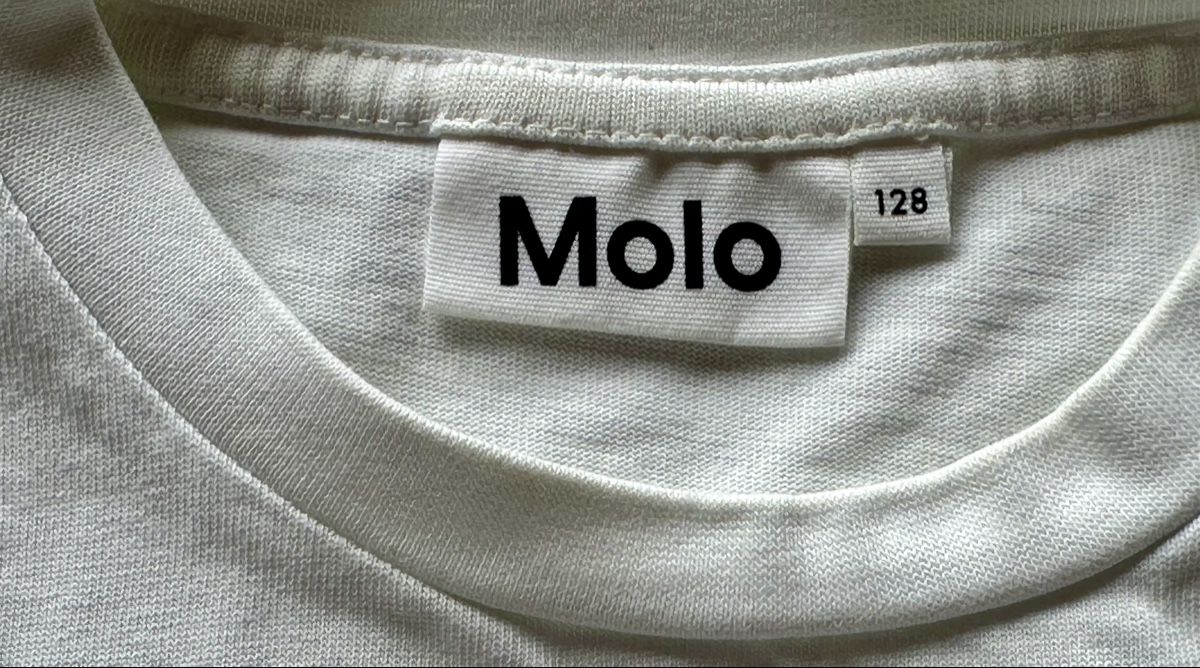 Molo Camicie, T-shirt & Polo: T-shirt in cotone MOLO – Usato da Castel San Pietro venduto da Moregi 2