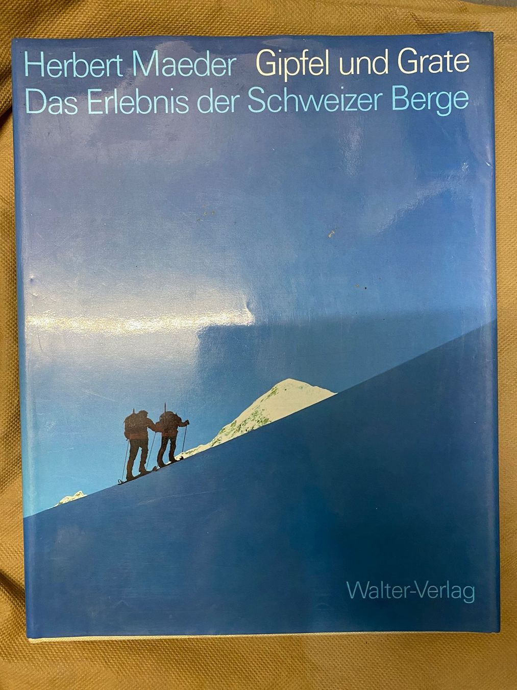 Libri: Das Erlebnis der Schweizer Berge – Usato da Lüchingen venduto da LIDB