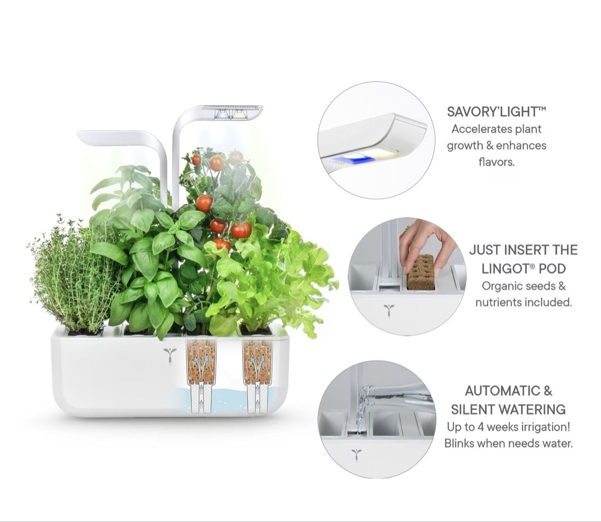 Casette da giardino & serre: Véritable Classic Indoor-Garten – Nuovo (secondo la descrizione) da Baar venduto da DanielaBa02 5