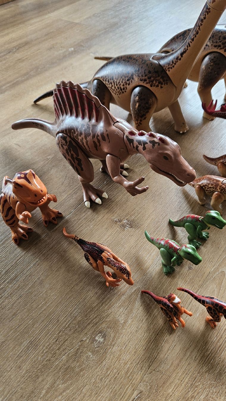 Playmobil Giocattoli: Playmobil Dinosaurier Set diverse  – Usato da Rüti ZH venduto da Pacey0 1