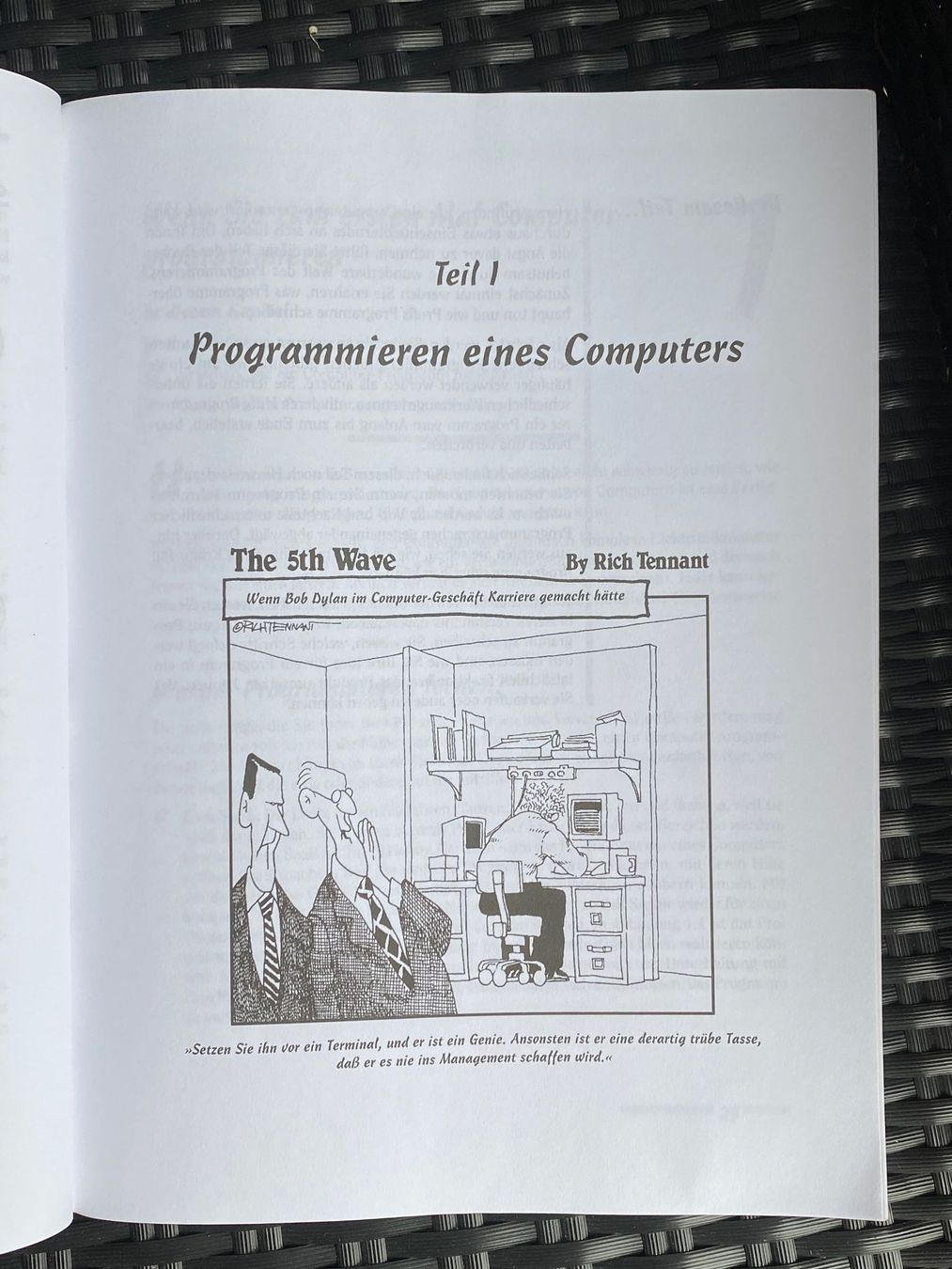 Libri: Programmieren für Dummies – Usato da Kreuzlingen venduto da don_ueli6wb5 4
