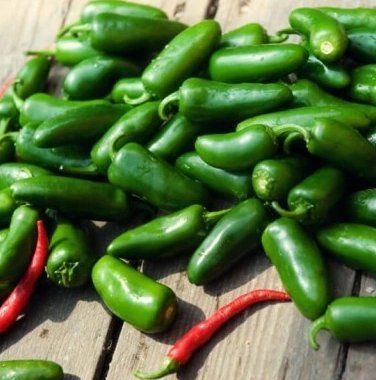 Piante & sementi: Jalapeno Ruben CHILI / 5 Samen – Nuovo (secondo la descrizione) da Hinteregg venduto da ERFOLG78 4