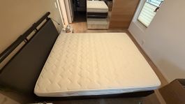 Matratze Elitestrom 160x200x22cm 