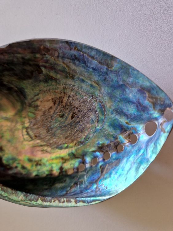 Giwi Style Paua Muschel Koru Anhänger - Neuseeland Design, Unisex