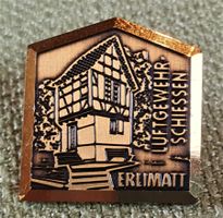 E458 - Pin Luftgewehr Schiessen Erlimatt