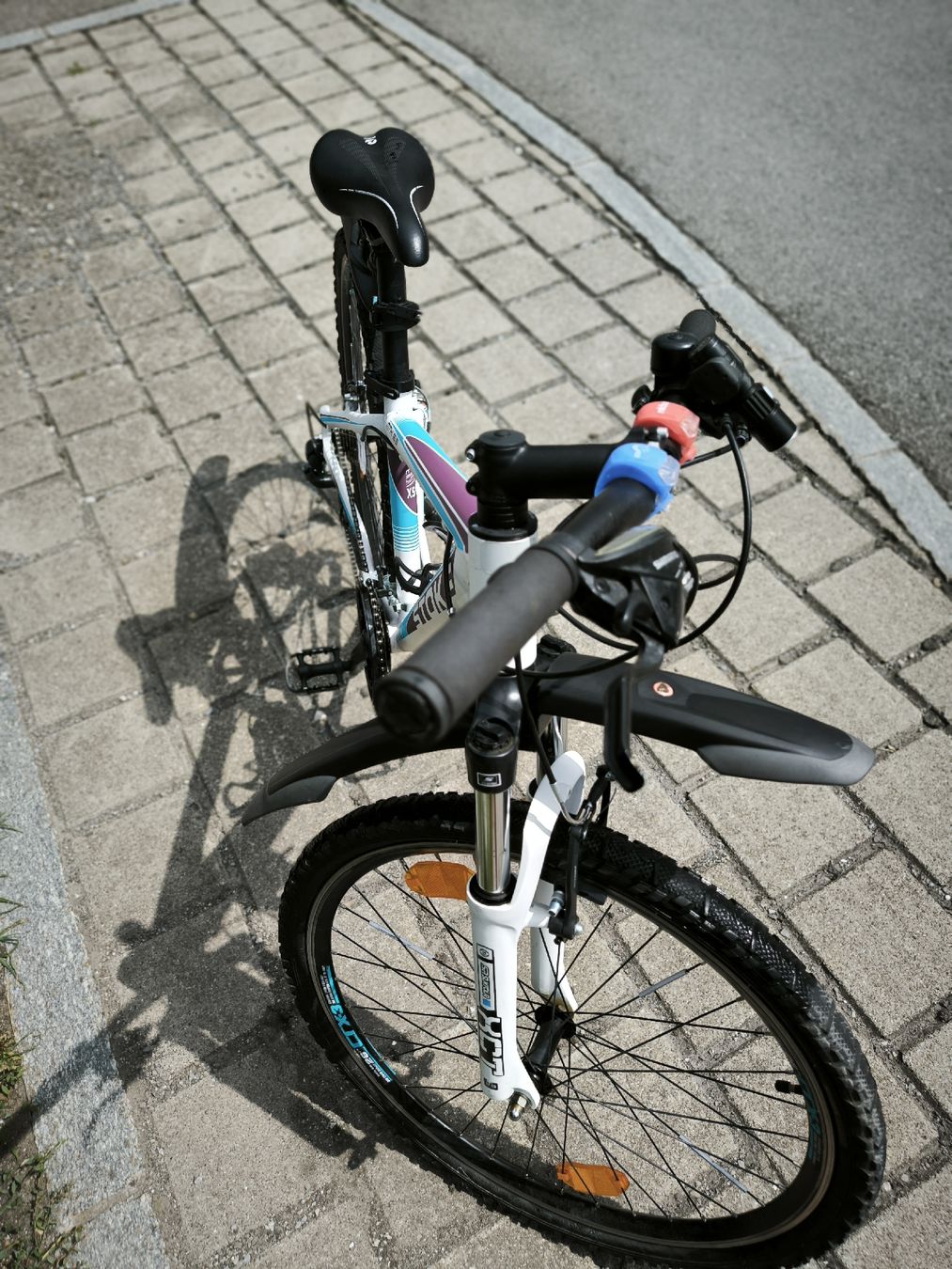 Biciclette: Mountainbike  – Usato da Wolfenschiessen venduto da pac-man 2
