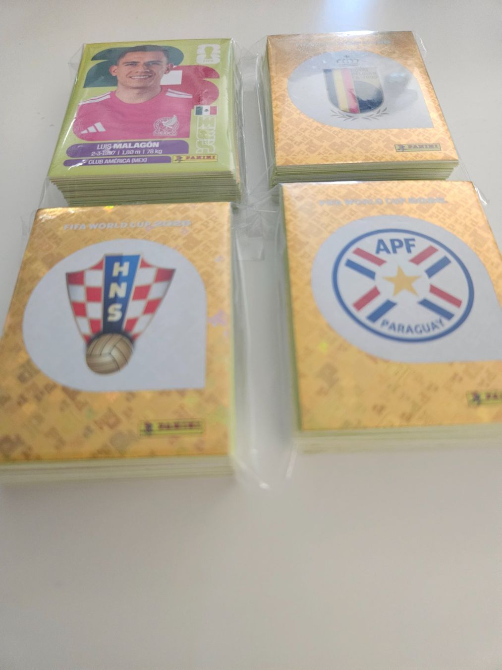 Panini Carte collezionabili: 260 figurine wm2026 – Nuovo (secondo la descrizione) da Morbio Inferiore venduto da vin_fdj2 3