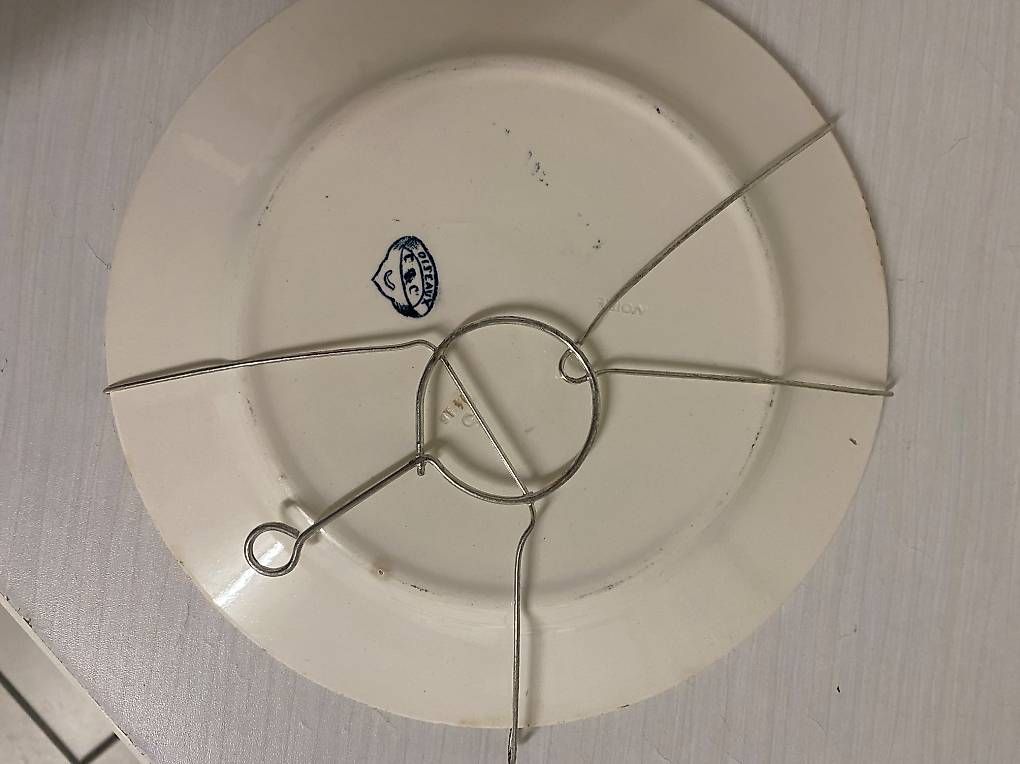 Piatti: 8 assiettes décoratives fin 19eme  – Usato da St-Blaise venduto da NSUTT1953 2