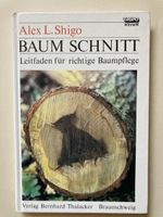 Baum Schnitt Leitfaden für richtige Baumpflege