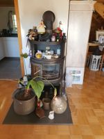HASE Design-Kaminofen / Schwedenofen