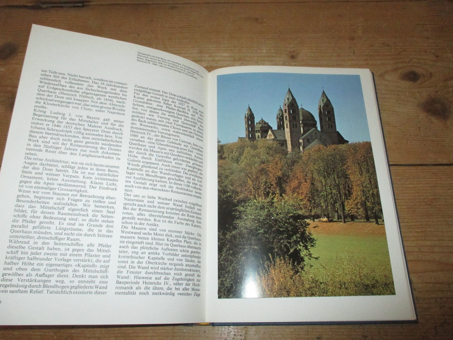 Livres: Kathedralen – D'occasion à Flims - Dorf par Stagediver 4