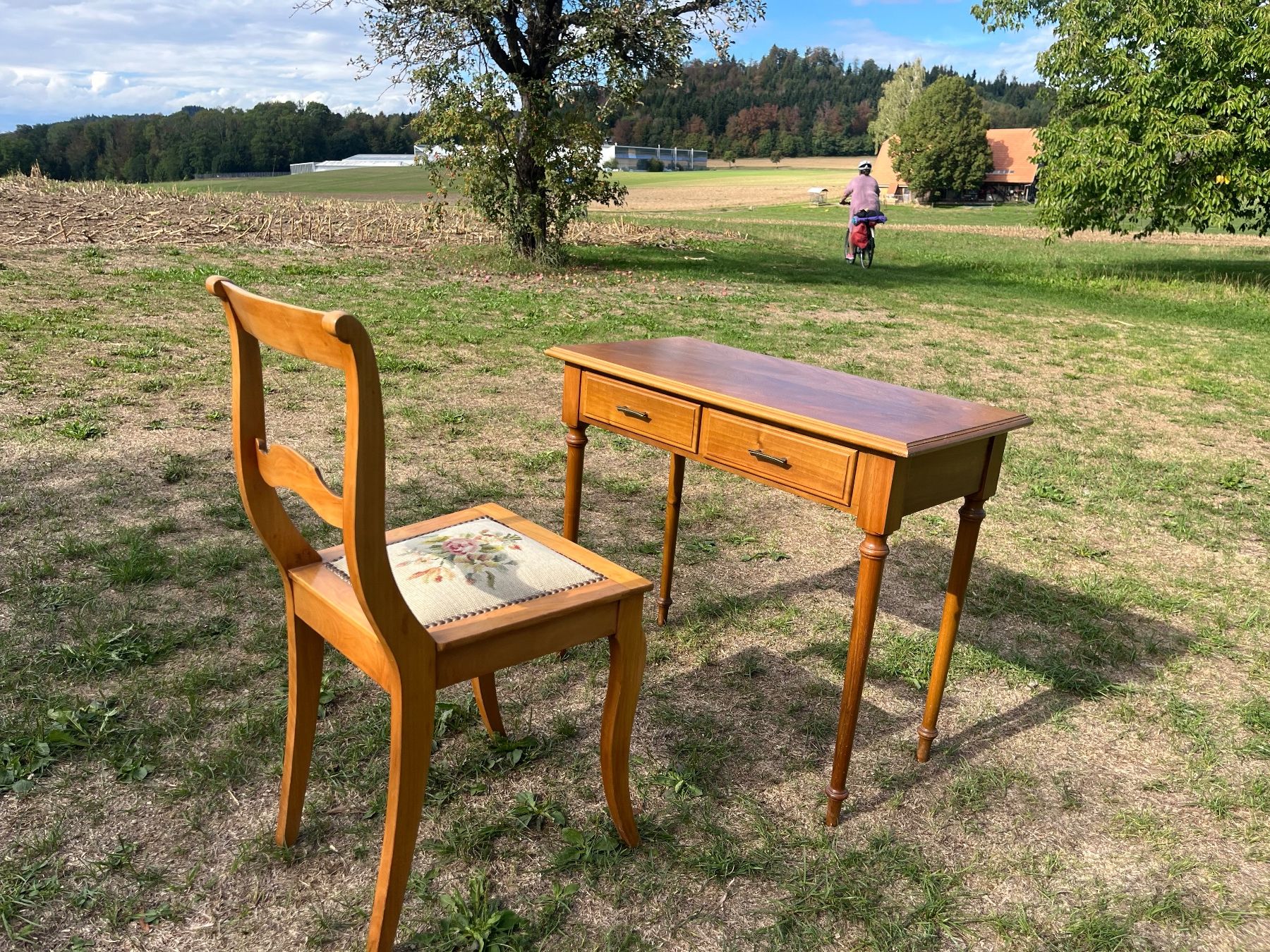 Tavoli: Tischli  und Stuhl – Usato da Allmendingen b. BE venduto da juair 4