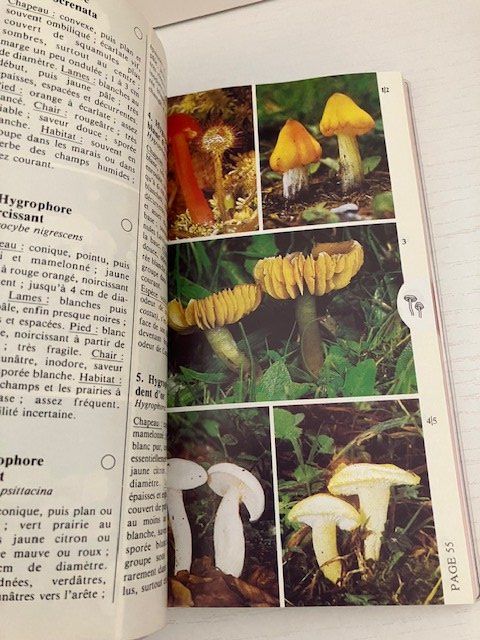 Libri: Guides de terrain "champignons " et "fleurs des montagnes" – Usato da Les Ponts-de-Martel venduto da Jolisa 3