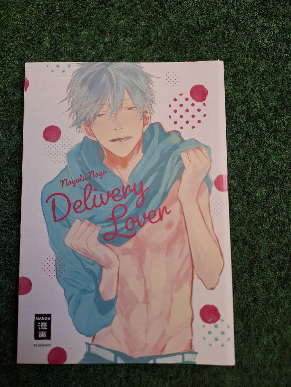 Comics: Yaoi BoysLove Delivery Lover / Deutsch  – Gebraucht aus Dällikon von Shishio