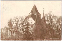 NIDAU - Das Schloss ca. 1915 (BE)