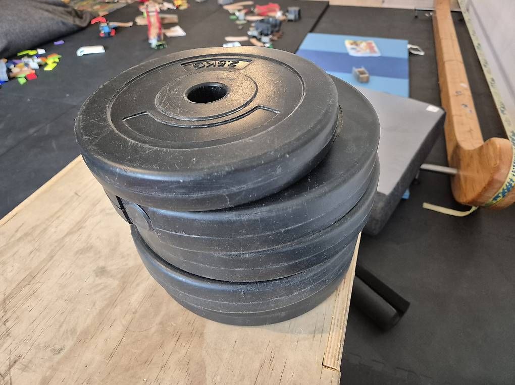 Manubri & Pesi: Hantel Gewichtsscheiben 30mm – Usato da Chur venduto da olipue 1