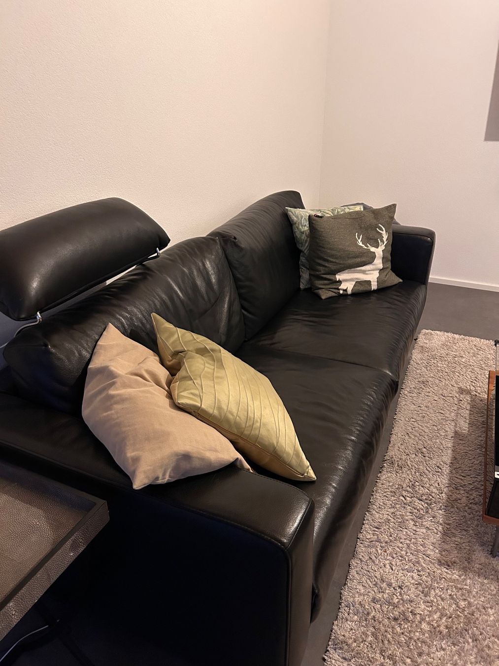 Divani: Designer Ledersofa Schwarz von Schubiger Möbel – Usato da Stallikon venduto da mimi4u