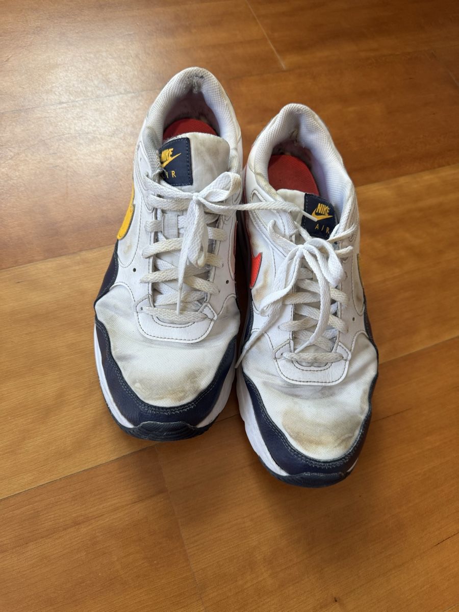 Nike Herrenschuhe: Nike Air Max Grösse 45 – Gebraucht aus Wettswil von alstel24