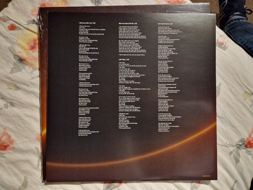 Dischi in vinile: ABBA – Voyage – Usato da Brittnau venduto da Zibu 4