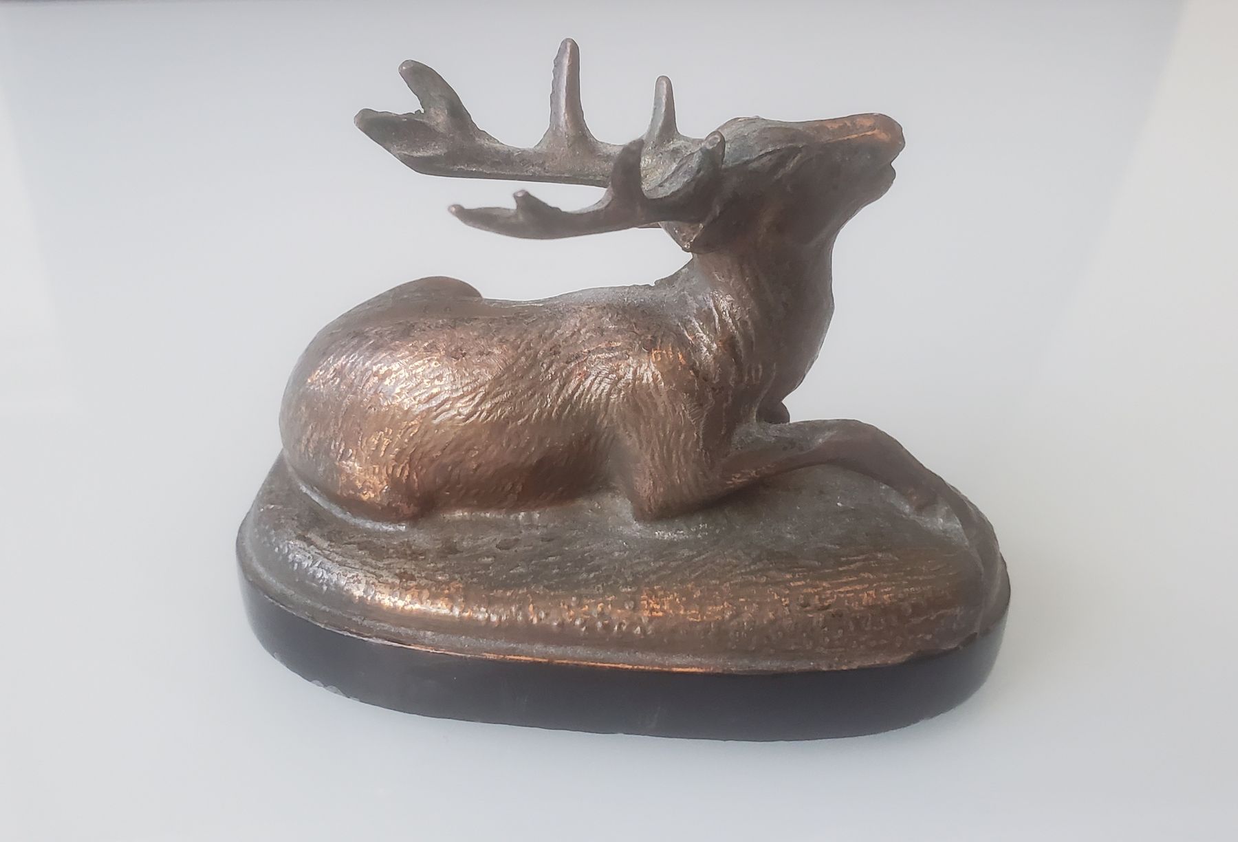 Sculture & Statue: Kleine Hirsch Figur – Usato da Frauenfeld venduto da BeneFull 1
