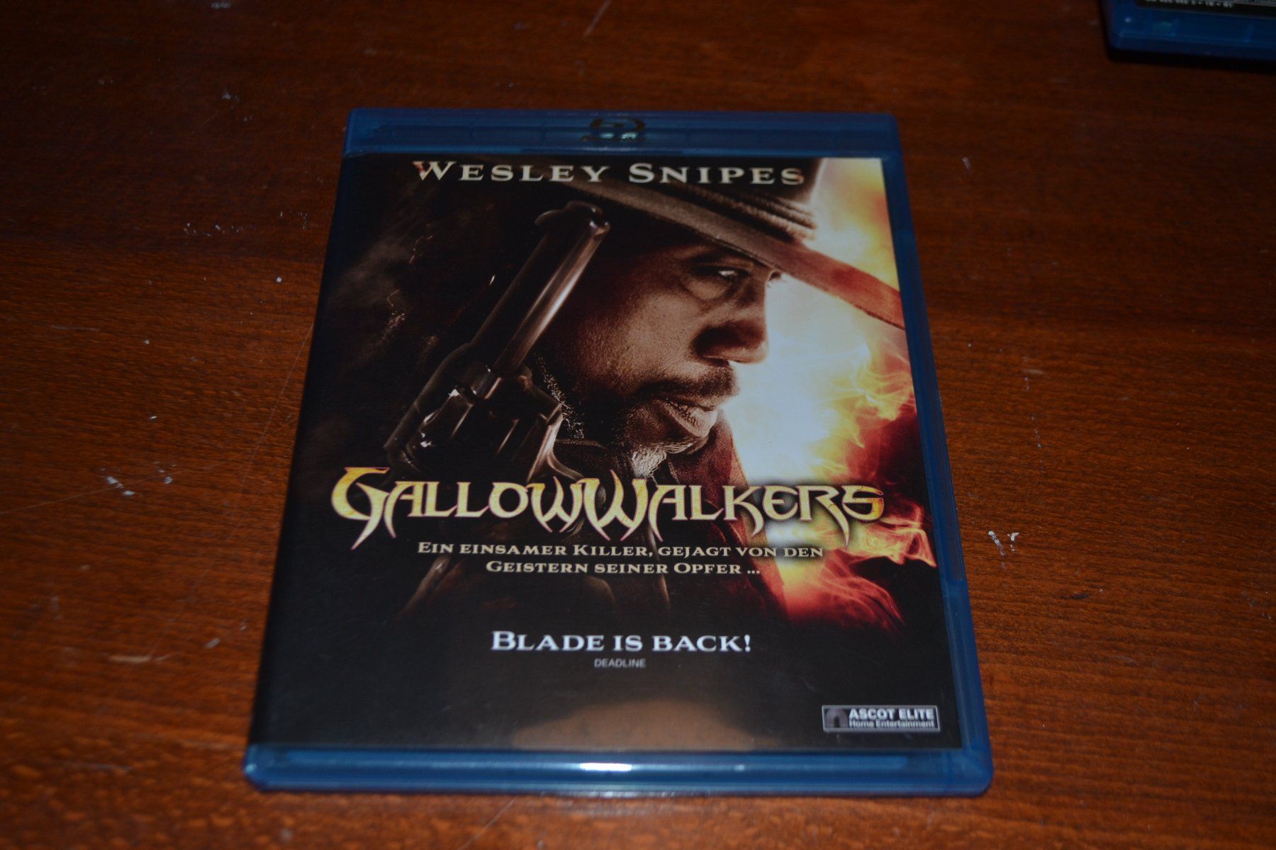 Alle DVDs: Gallowwalkers – Gebraucht aus Laupen ZH von chefdom