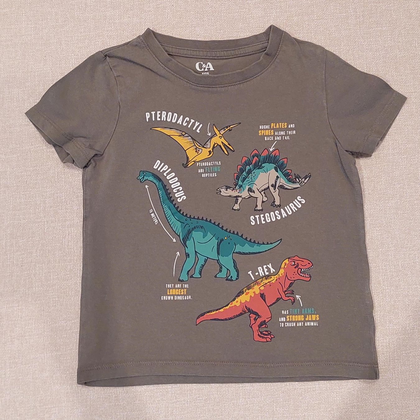 C&A Camicie, T-shirt & Polo: T-Shirt "Dinos" 104 – Usato da Winterthur venduto da Madamme-Rex