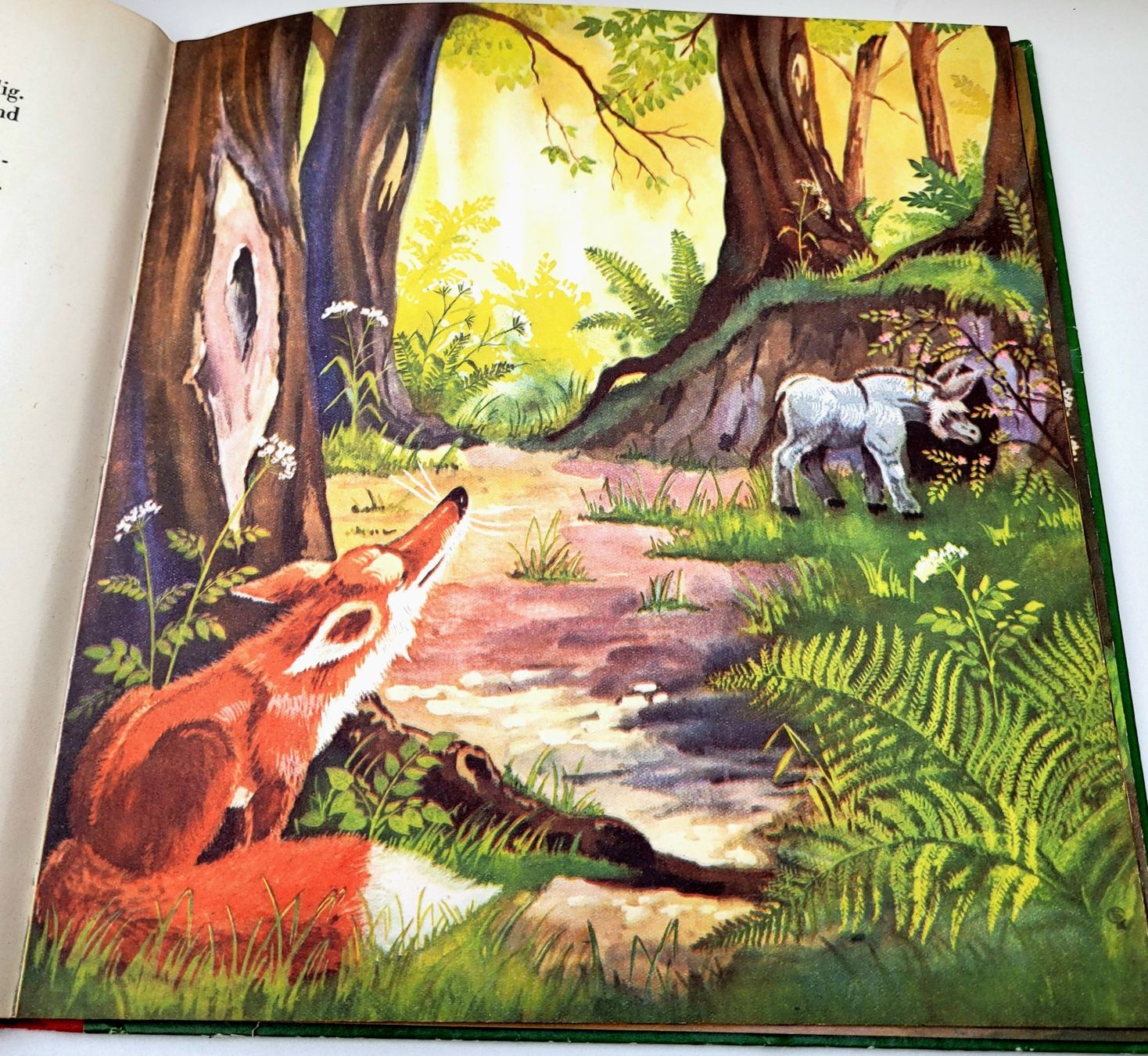 Libri: DICKKOPF Vintage Kinderbuch von 1961 – Usato da Oberuzwil venduto da rtr_wp6m 1