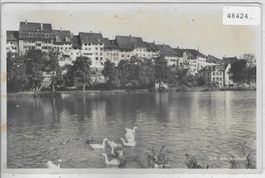Wil SG - Schwanenteich
