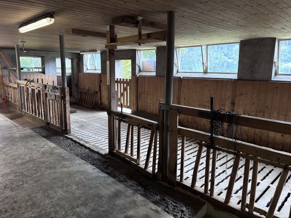 Altro in Accessori per animali: Fressgitter – Usato da Putz venduto da san_h8yf 1