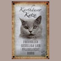 🔥 KARTÄUSER Katze Blechschild 🩶 12x18cm OVP 🔥
