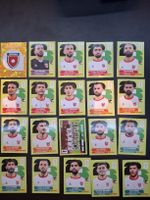 Panini ganzes Team Jordanien 