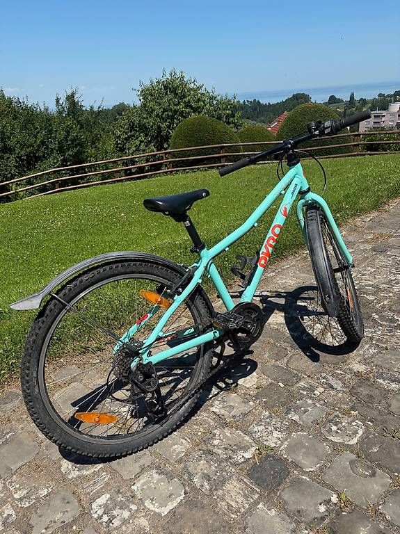 Biciclette: Kindervelo Pyro TwentyFour - Top-Qualität – Usato da Wittenbach venduto da GBNB 2