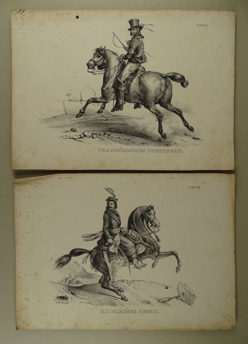 Incisioni: PFERDE, 12 LITHOGRAPHIEN 1840 – Usato da Grüningen venduto da Kartensammler 6