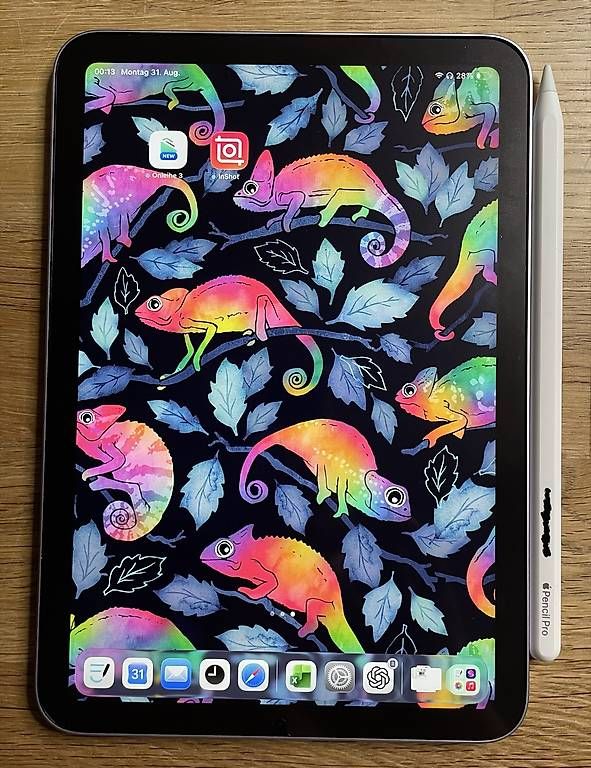 Apple Tablet PC: Apple iPad mini Tablet Grau mit Eingabestift gebraucht – Usato da Gunzgen venduto da Cricribb