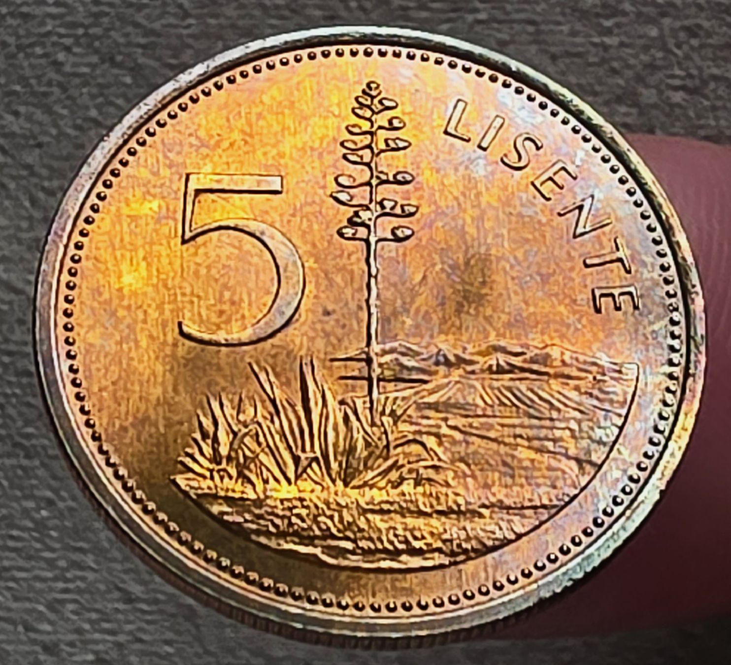 Alle Münzen: LESOTHO 5 LISENTE 1979 – Gebraucht aus Winterthur von Creso70