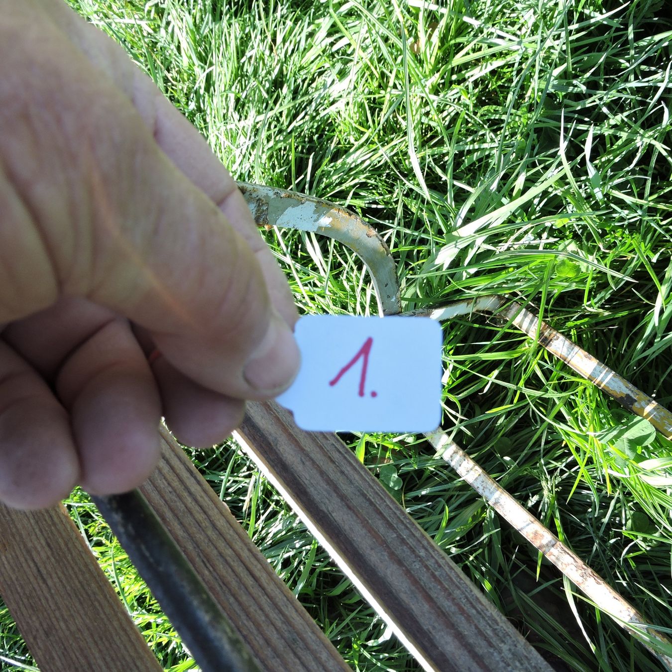 Sedie: Klappstuhl Holz/Metall Nr.1 – Usato da Meikirch venduto da rva_q8c7 3