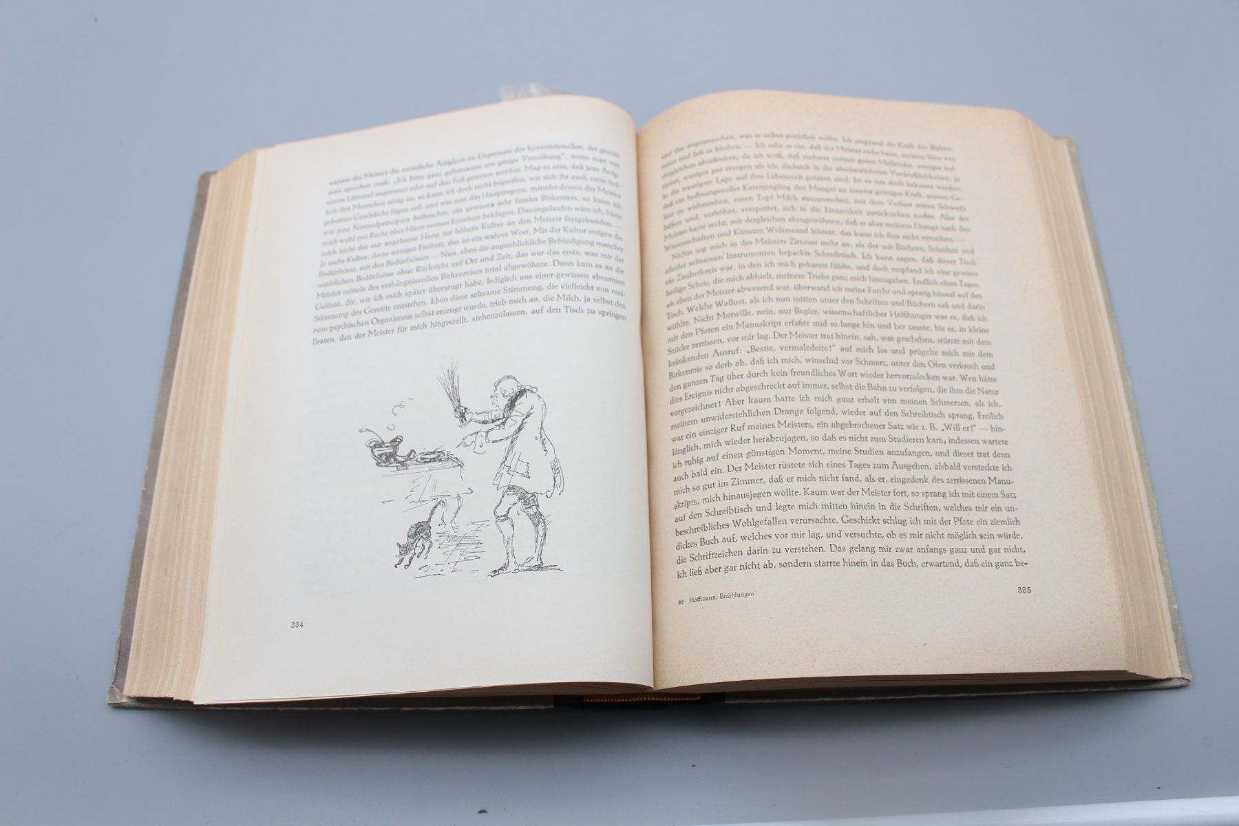 Libri: Buch "Erzählungen" von E. Th. A. Hoffmann (1942) – Usato da Bruettisellen venduto da Collector_Store 4