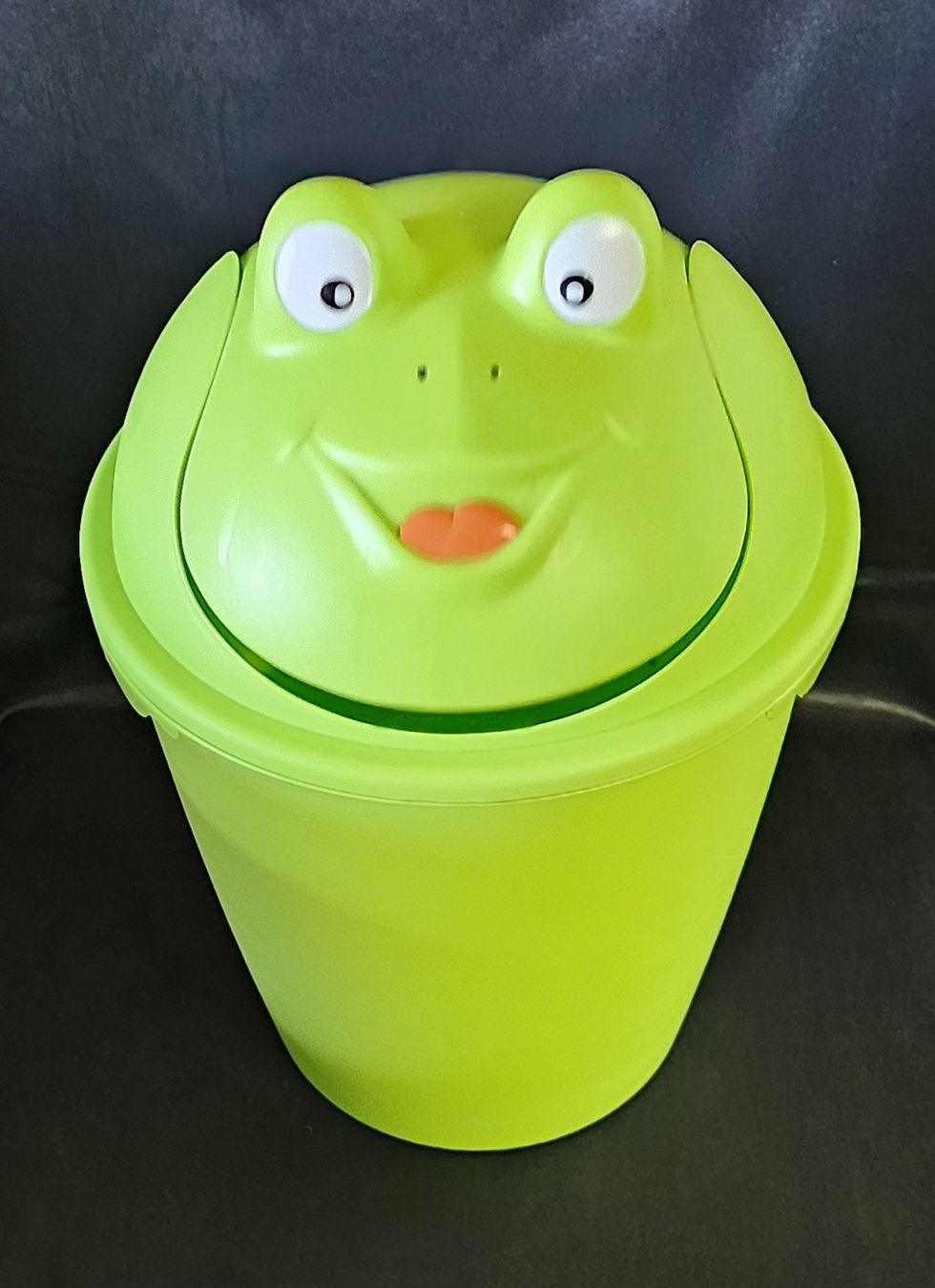 Altro per la casa: Abfalleimer Frosch Design Kinder Eimer  grün, 6 l – Usato da Wangen b. Olten venduto da ErikaK06 3
