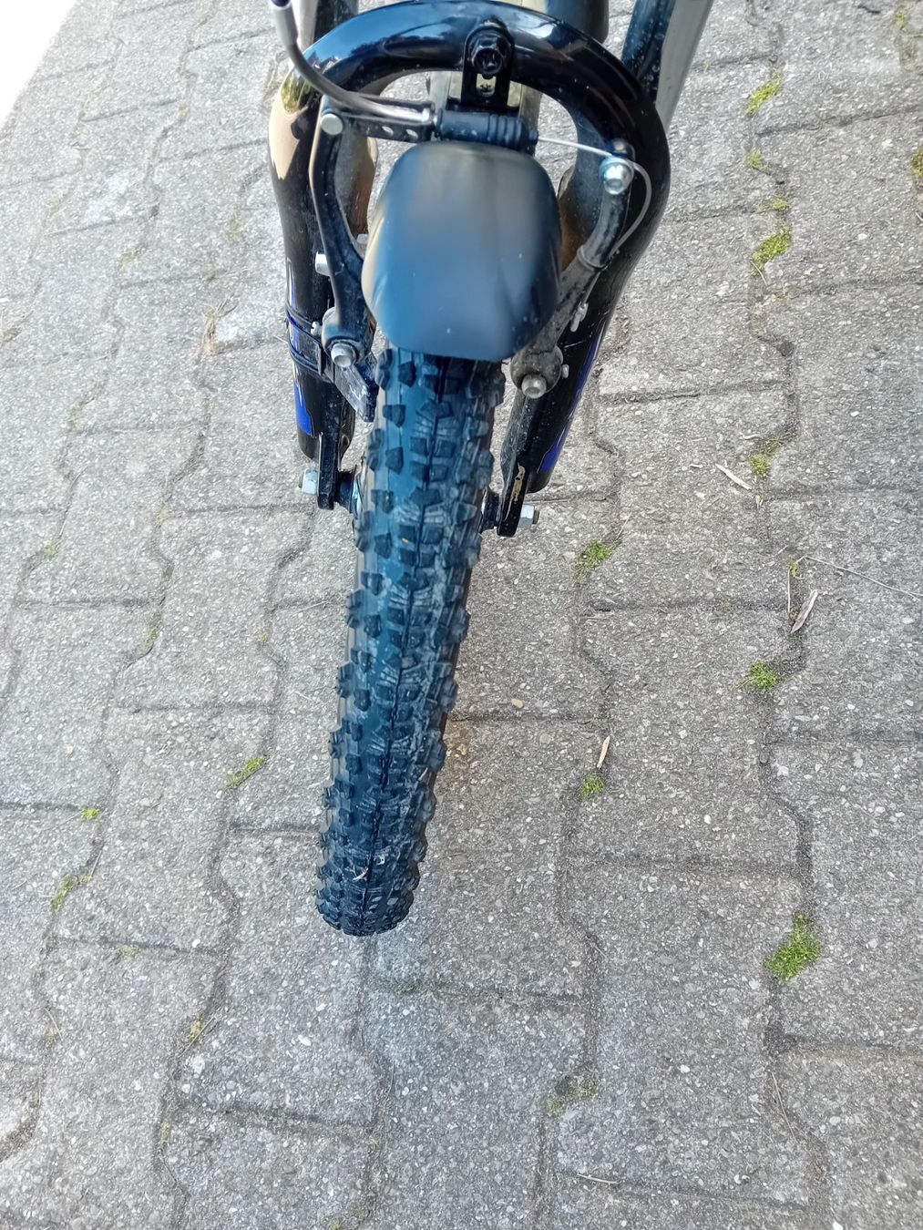 Biciclette: Specialized Hotrock Kindervelo 20" – Usato da Worben venduto da Bertolt 2