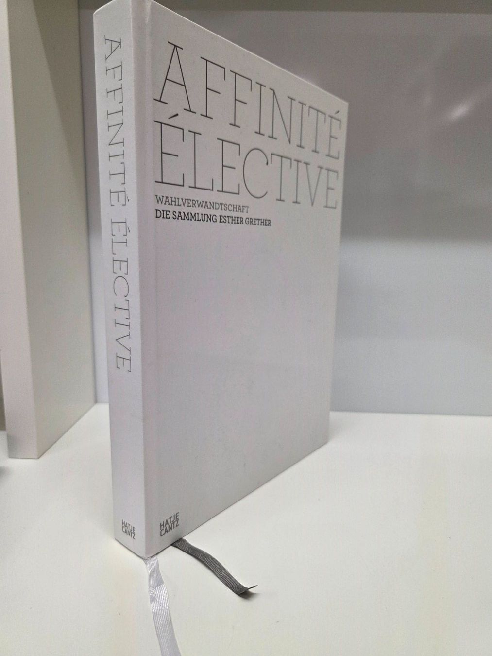 Livres: Buch Sammlung Esther Grether: Affinité Élective Kunst 2013 – D'occasion à Herisau par Dinge-in-Bewegung 2