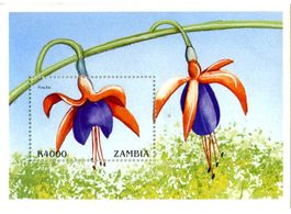 Block "Blumen". Sambia.