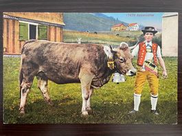 LANDWIRTSCHAFT APPENZELL Appenzeller Bauer mit schöner Kuh