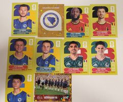 Pack 10 Bilder Panini