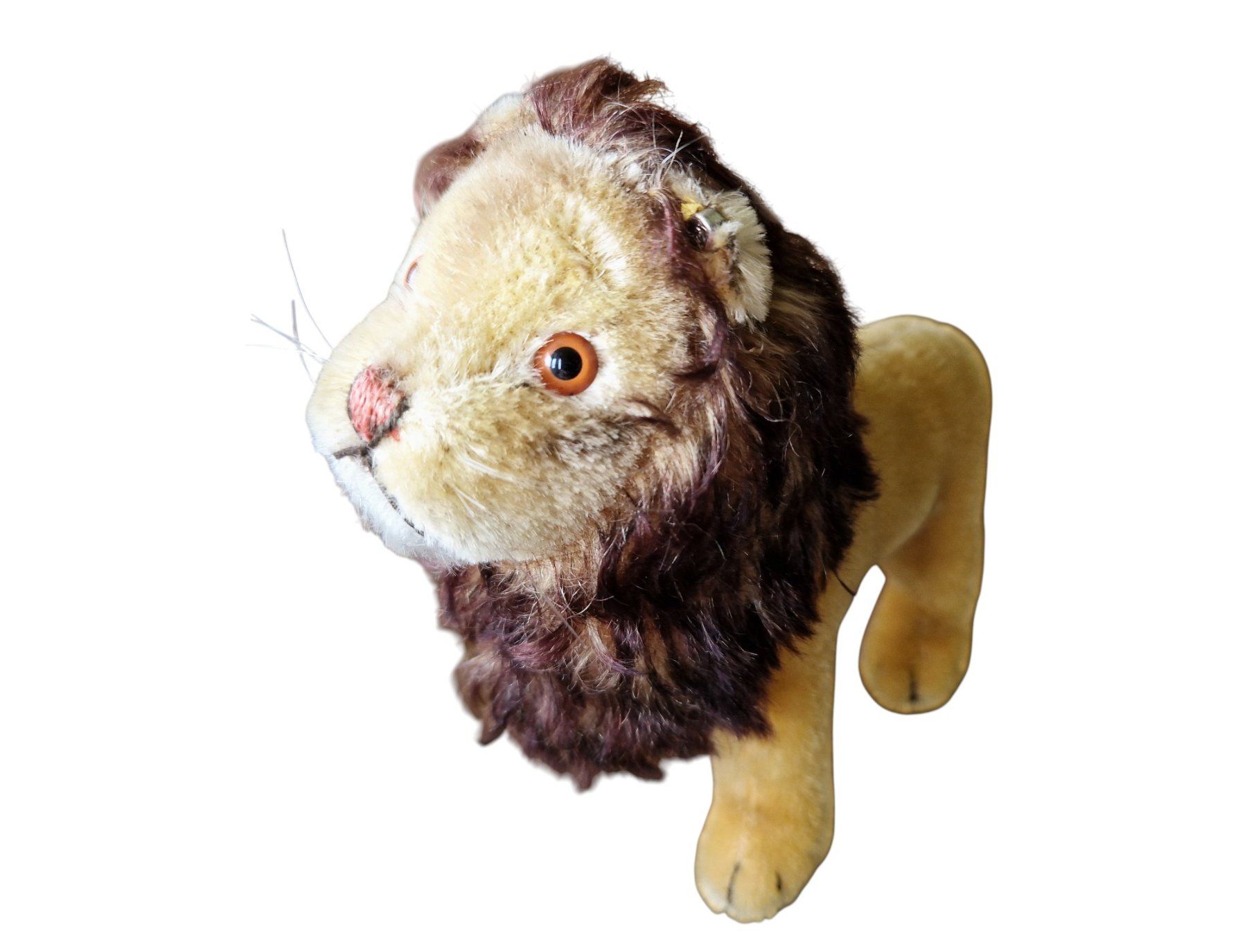 Steiff Giocattoli: Steiff Plüschtier Leo 1950er – Usato da Mörschwil venduto da lindaswunderkiste