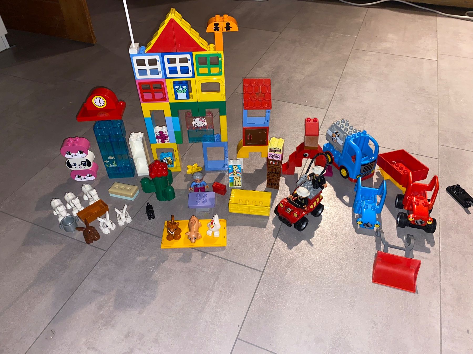 Lego Giocattoli: Lego Duplo diverses und Tiere – Usato da Mastrils venduto da scipio753 1