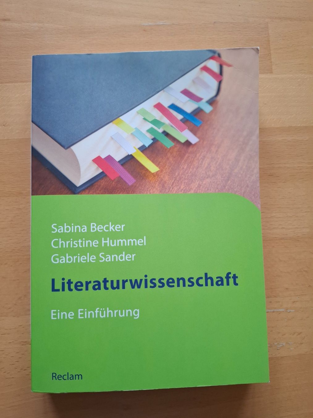 Libri: Buch "Literaturwissenschaft - eine Einführung" – Nuovo (secondo la descrizione) da Lohn SH venduto da Lillyfee2020