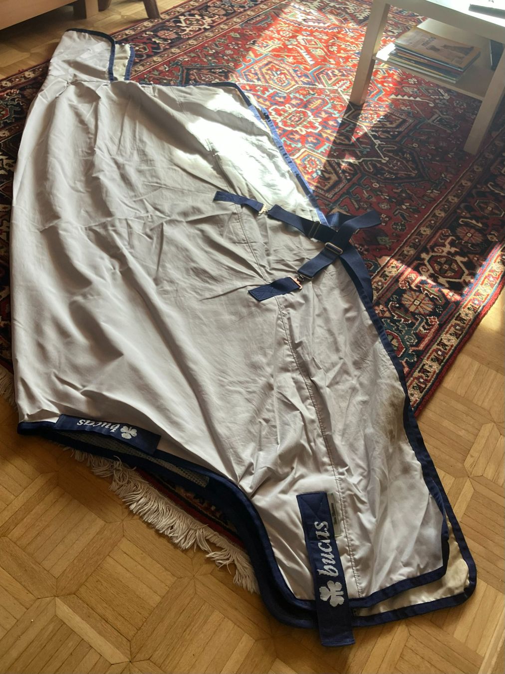 Coperte & Accessori: Bucas Weidedecke Sun Shower 145cm Warmblut – Usato da kottwil venduto da opononi 2